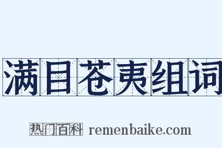 满目苍夷组词是什么意思的图片